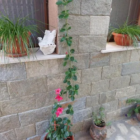 бялото конче Gasthof