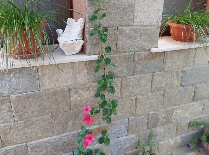 бялото конче Gasthuis