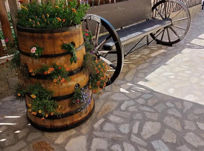 бялото конче Gasthuis