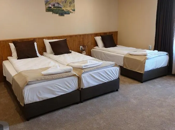 бялото конче